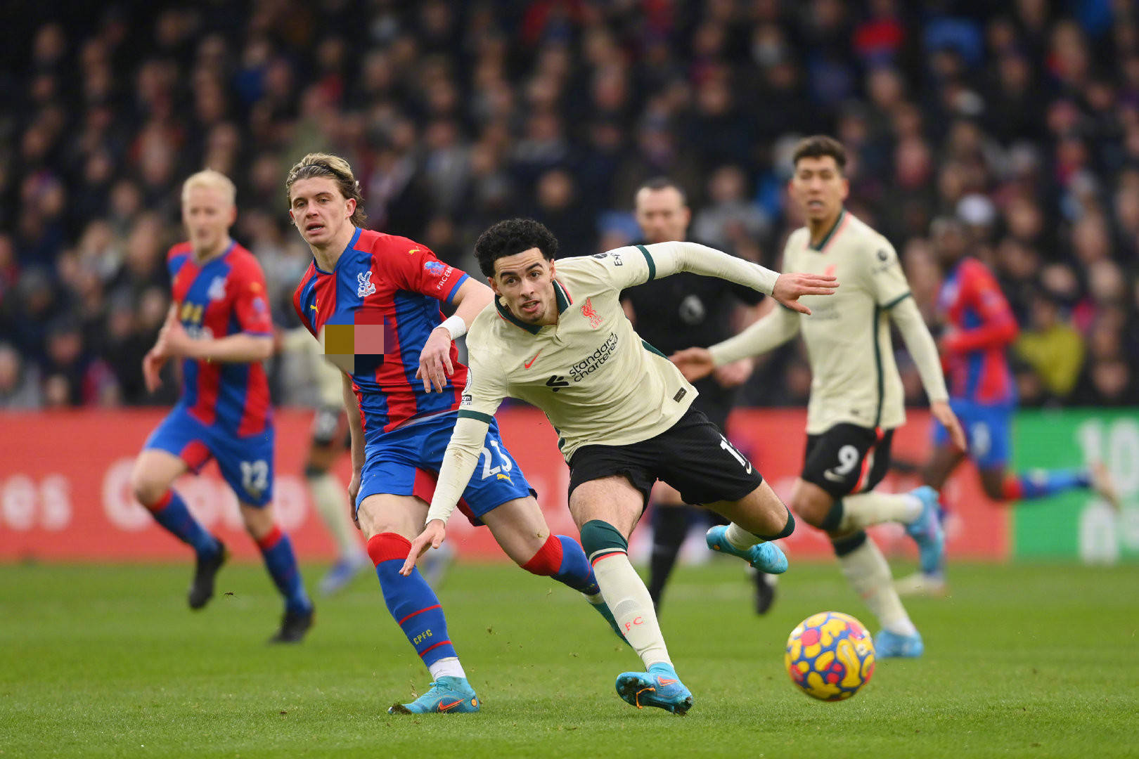 单纯的词汇 单纯的词汇